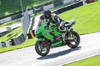 brands-hatch-photographs;brands-no-limits-trackday;cadwell-trackday-photographs;enduro-digital-images;event-digital-images;eventdigitalimages;no-limits-trackdays;peter-wileman-photography;racing-digital-images;trackday-digital-images;trackday-photos